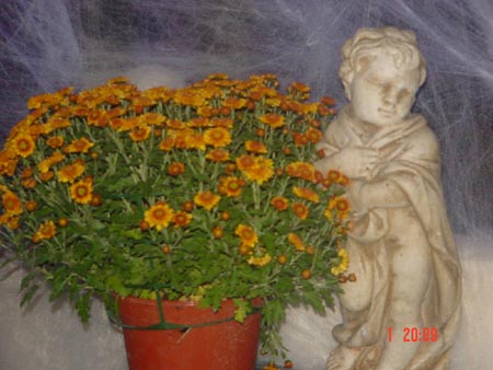 DSC02420