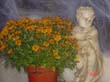 DSC02420