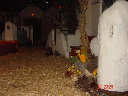 DSC02225