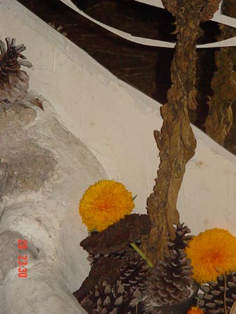 DSC02227