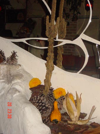 DSC02228