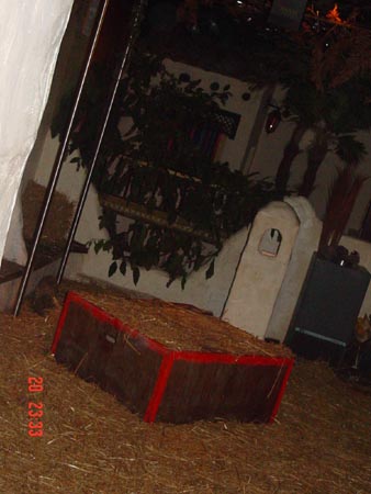 DSC02234