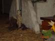DSC02226