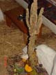 DSC02235